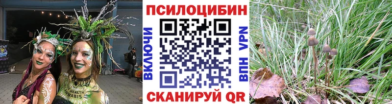 даркнет сайт  Менделеевск  Псилоцибиновые грибы ЛСД 